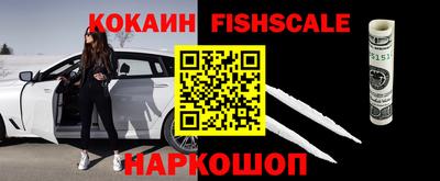 крисы Бийск