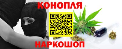 крисы Бийск