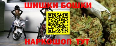 крисы Бийск