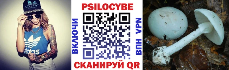купить наркотики сайты  кракен маркетплейс  Галлюциногенные грибы мухоморы  Бийск 