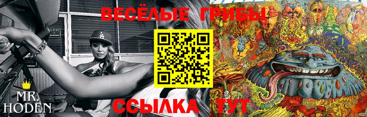 Псилоцибиновые грибы Psilocybe  Бийск 