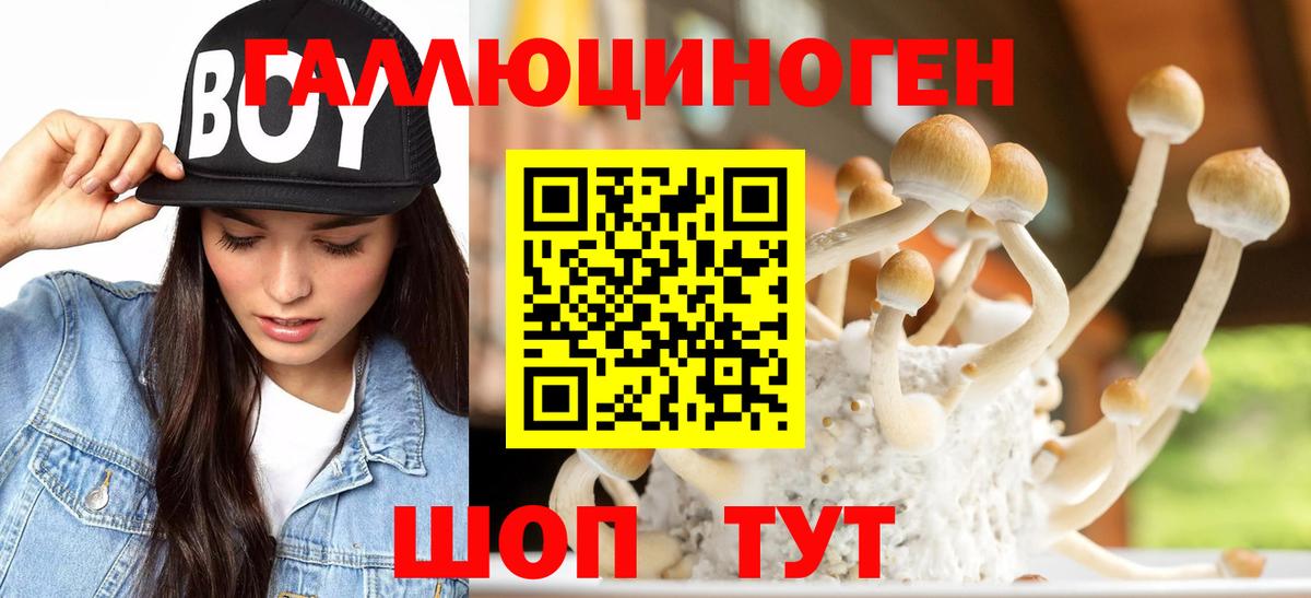 Псилоцибиновые грибы Psilocybe  Вход с VPN  Псилоцибиновые грибы Psilocybine cubensis  Бийск 